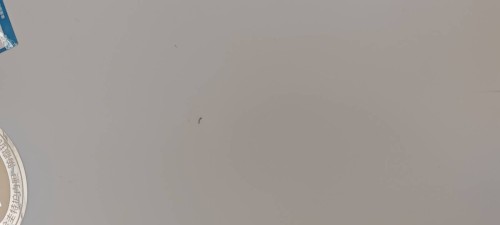 tmp_23247e329aba5873449a668e347c910501525b1e9bbfc460.jpg