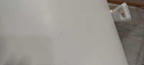 tmp_017cb331f9f656d68d84ef85ad0505d30b5b2019313702f6.jpg