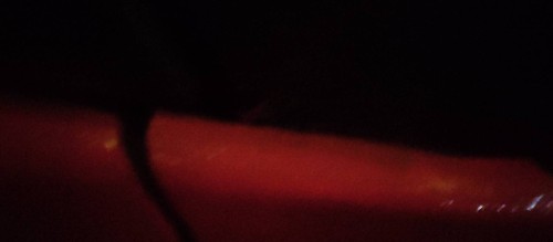 tmp_224d7d74a138bf290ac3d2ffcbebc96cf6eb482f03645d84.jpg