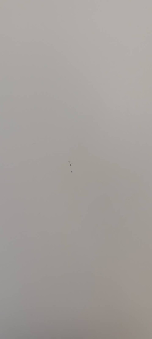 tmp_e96d36435f67598707b2acee6a237844573f8802ef05e8f8.jpg