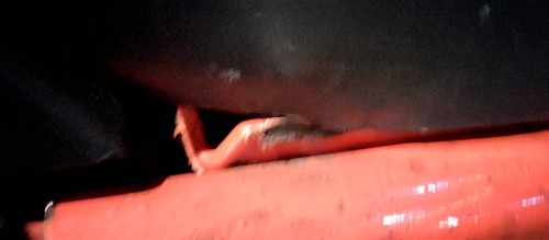 tmp_669b72c6d82eb5e9d5ccc91046f598f4b24c71a1d17fb6e4.jpg